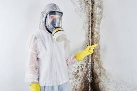 Best Emergency Mold Remediation in Biddeford, ME